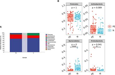 The effect of gut microbiota dysbiosis on patients with preeclampsia